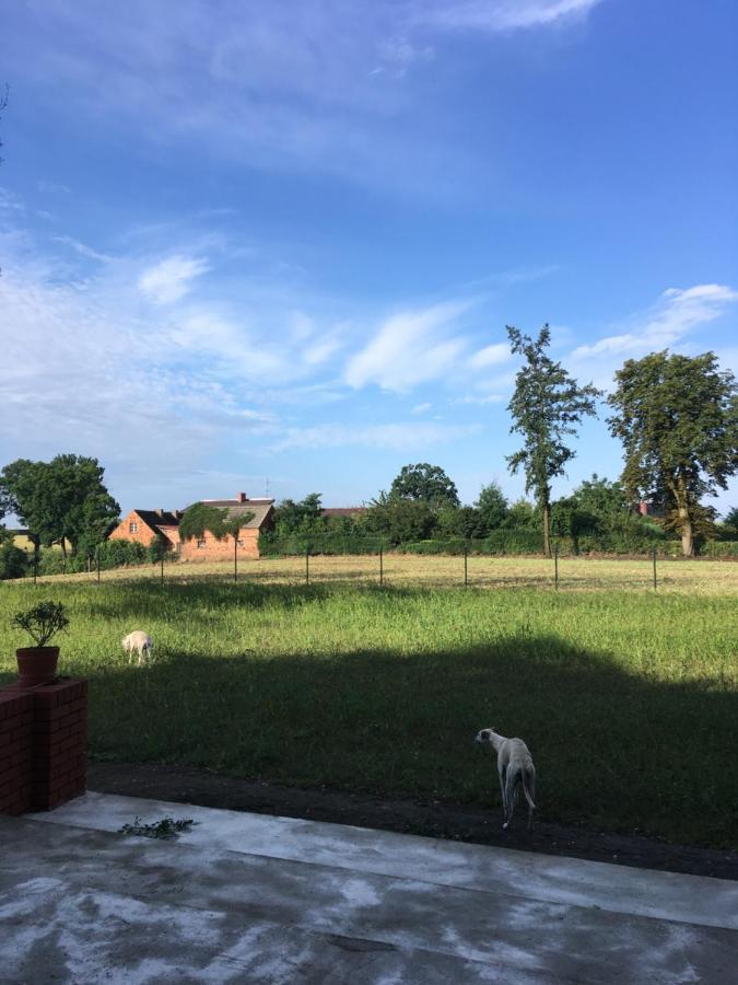 Palac Osowo Gostynskie Exterior foto